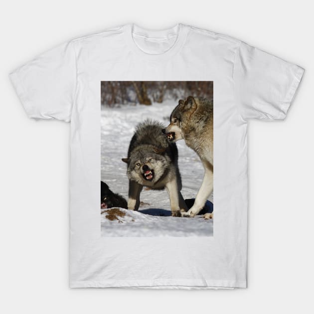 Back off! - Timber Wolf T-Shirt by Jim Cumming